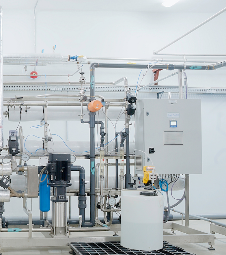 All you need to know